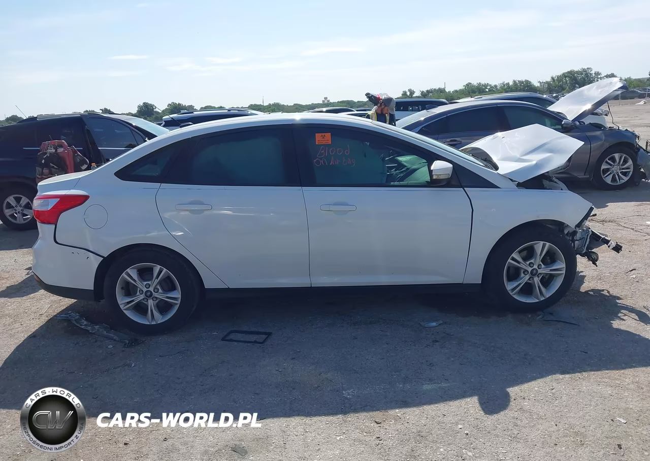 2014 Ford Focus Se VIN:1FADP3F23EL440460 - 12