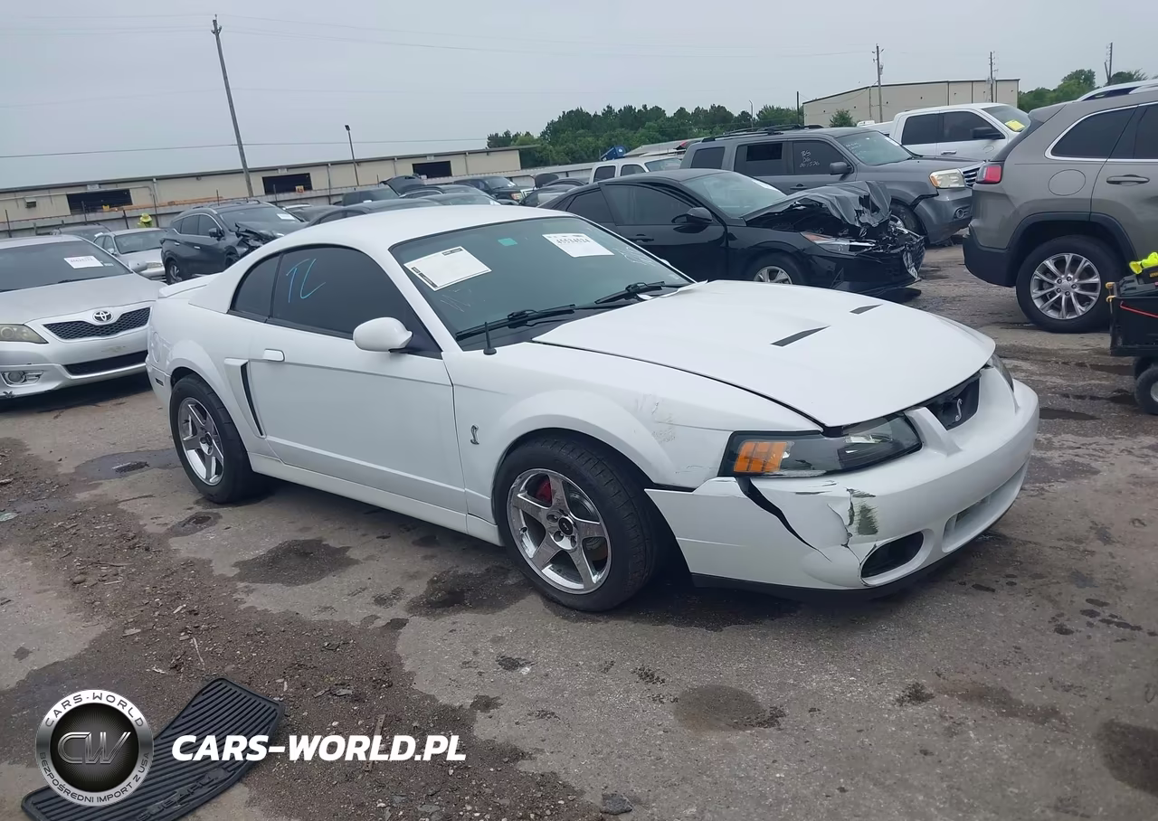 2003 Ford Mustang 10Th Anniversary Package-Cobra
