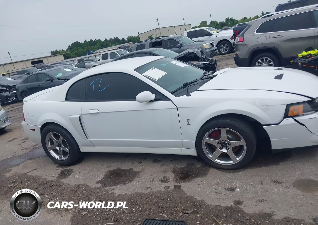 2003 Ford Mustang 10Th Anniversary Package-Cobra VIN:1FAFP48Y93F421262 - 13