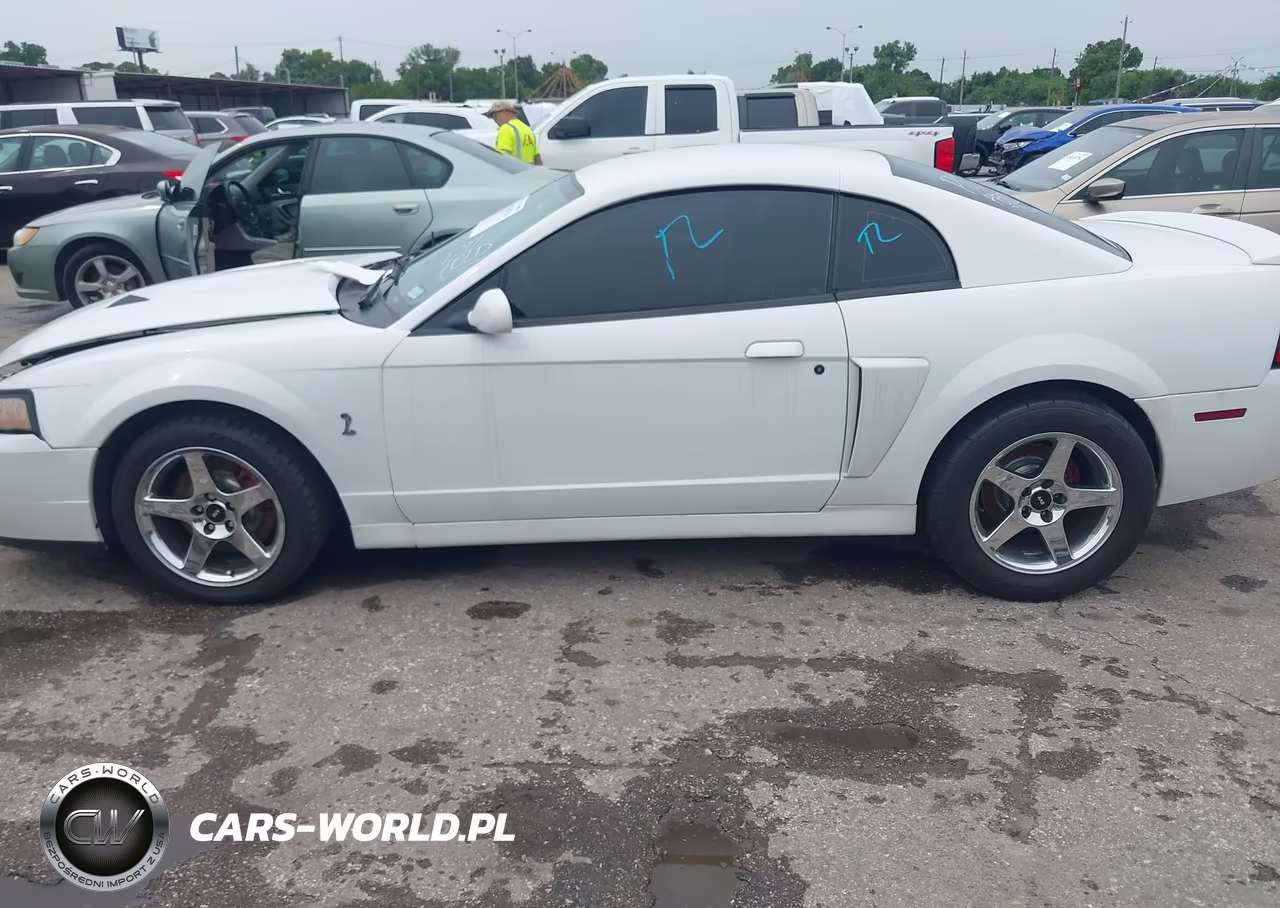 2003 Ford Mustang 10Th Anniversary Package-Cobra VIN:1FAFP48Y93F421262 - 14