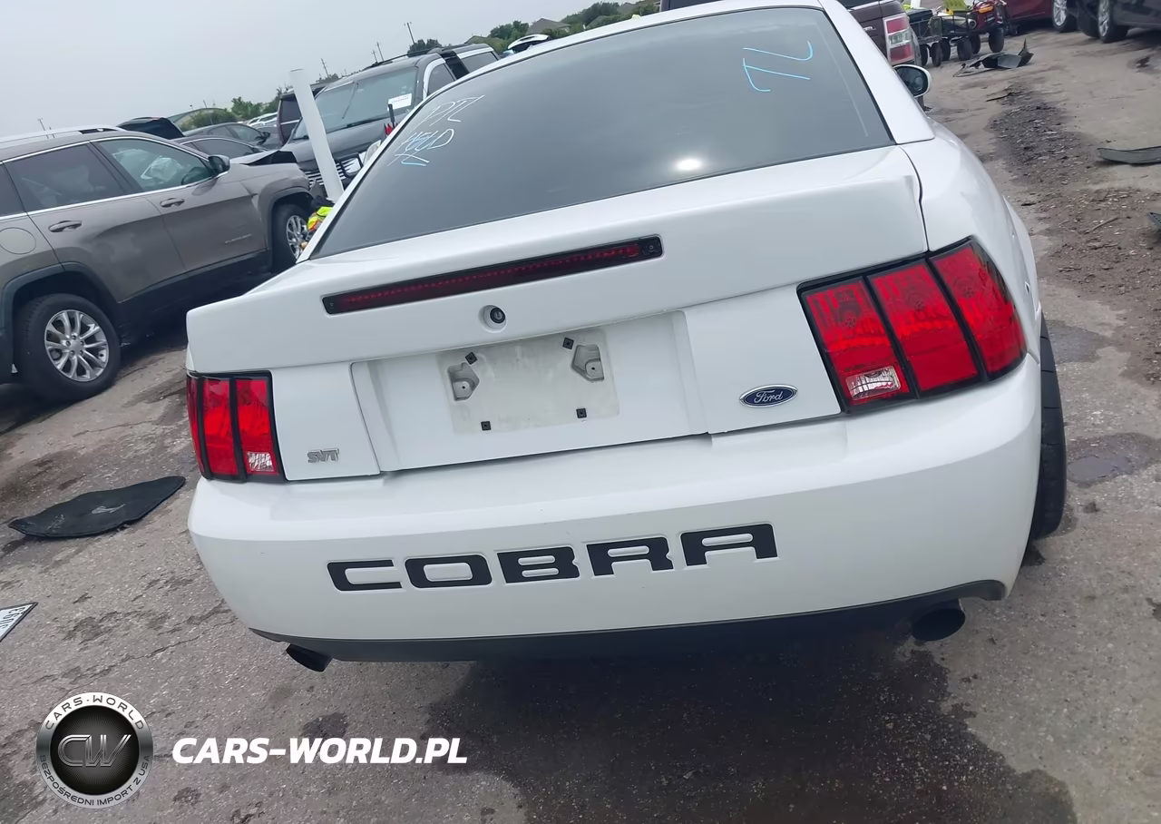 2003 Ford Mustang 10Th Anniversary Package-Cobra VIN:1FAFP48Y93F421262 - 16