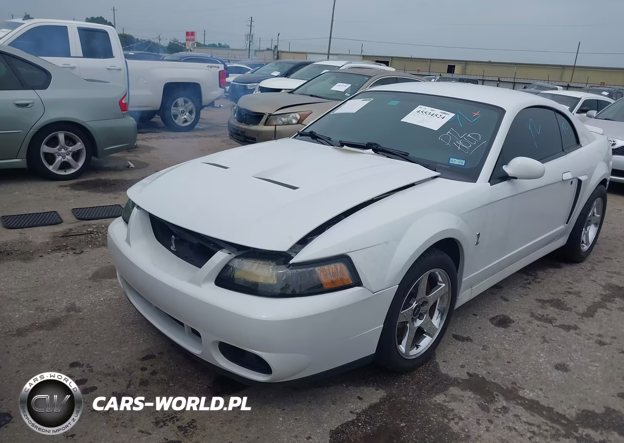 2003 Ford Mustang 10Th Anniversary Package-Cobra VIN:1FAFP48Y93F421262 - 2