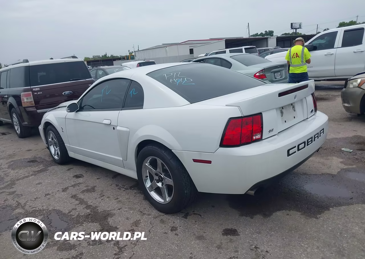 2003 Ford Mustang 10Th Anniversary Package-Cobra VIN:1FAFP48Y93F421262 - 3
