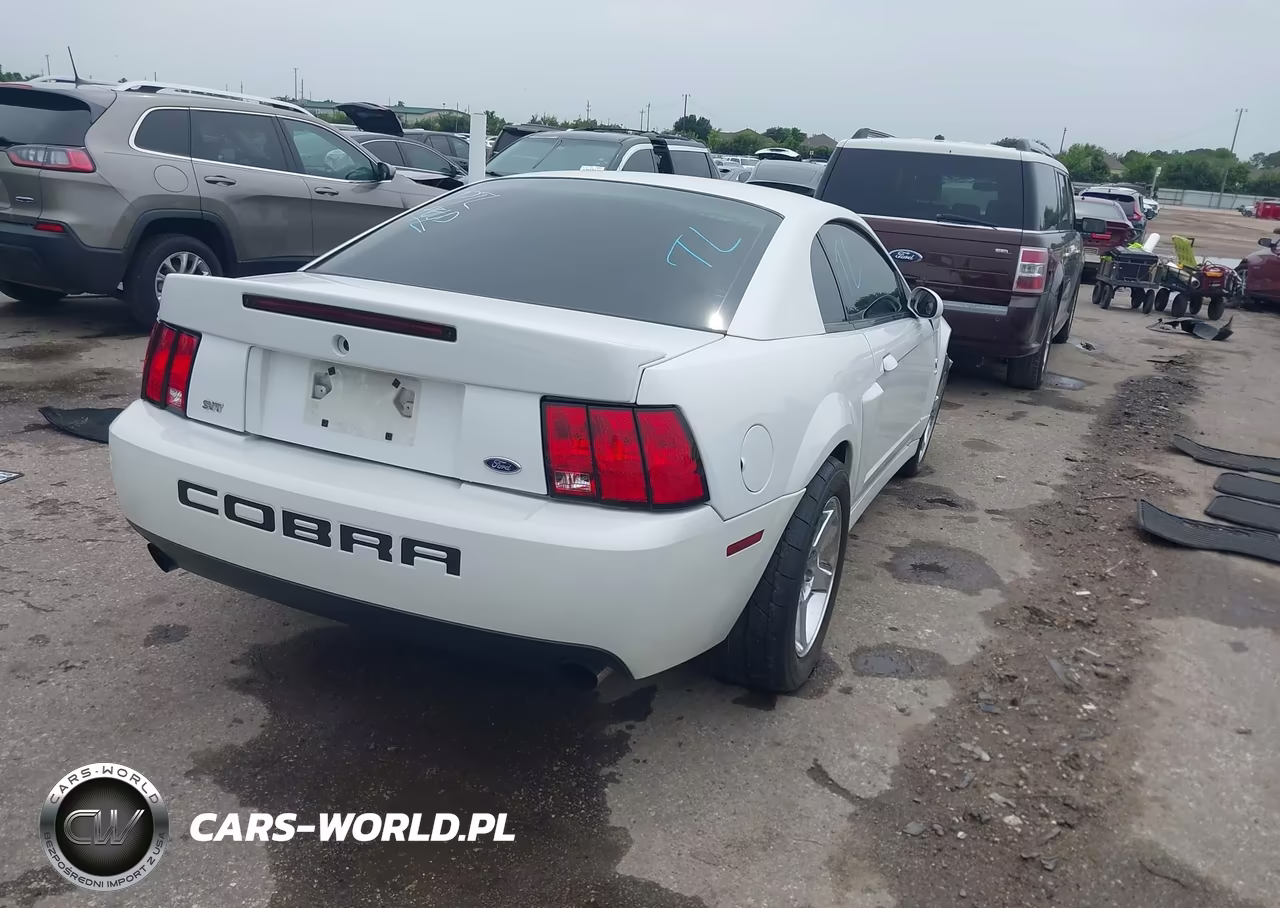 2003 Ford Mustang 10Th Anniversary Package-Cobra VIN:1FAFP48Y93F421262 - 4