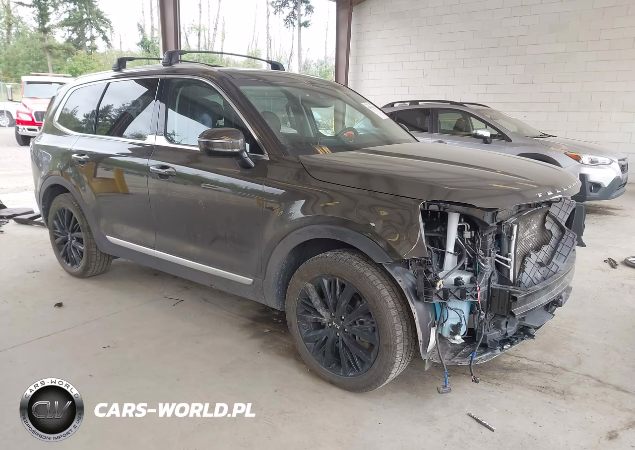 2020 Kia Telluride Sx – zdjęcie 1 z 17