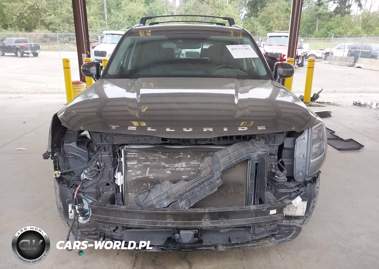 2020 Kia Telluride Sx VIN:5XYP5DHC1LG085385 - 13