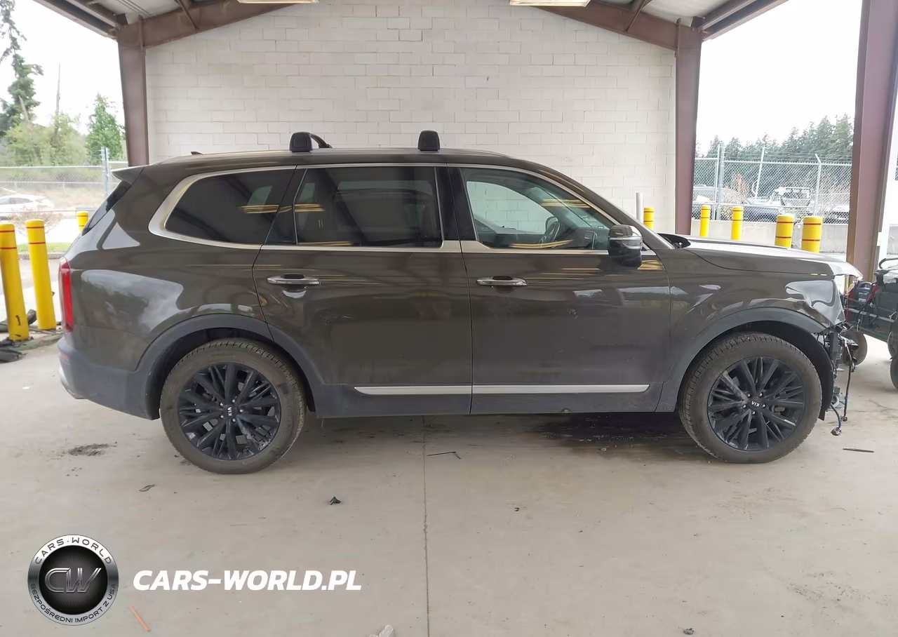 2020 Kia Telluride Sx VIN:5XYP5DHC1LG085385 - 14