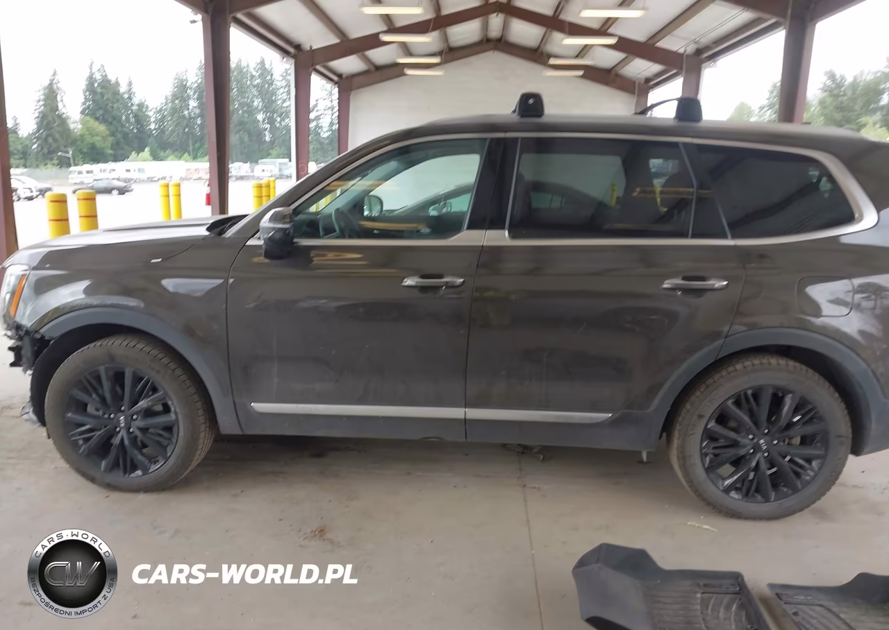 2020 Kia Telluride Sx VIN:5XYP5DHC1LG085385 - 15