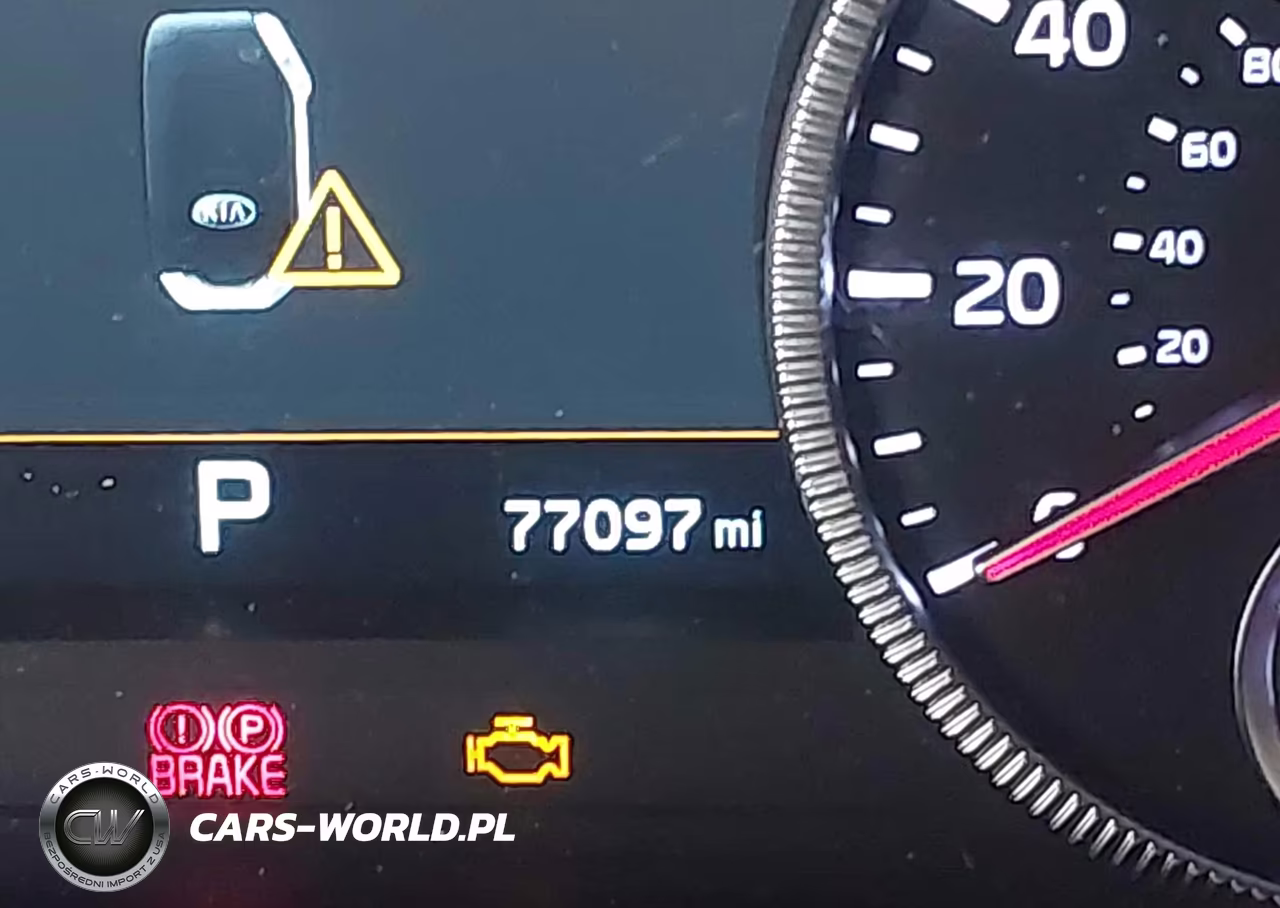 2020 Kia Telluride Sx VIN:5XYP5DHC1LG085385 - 16