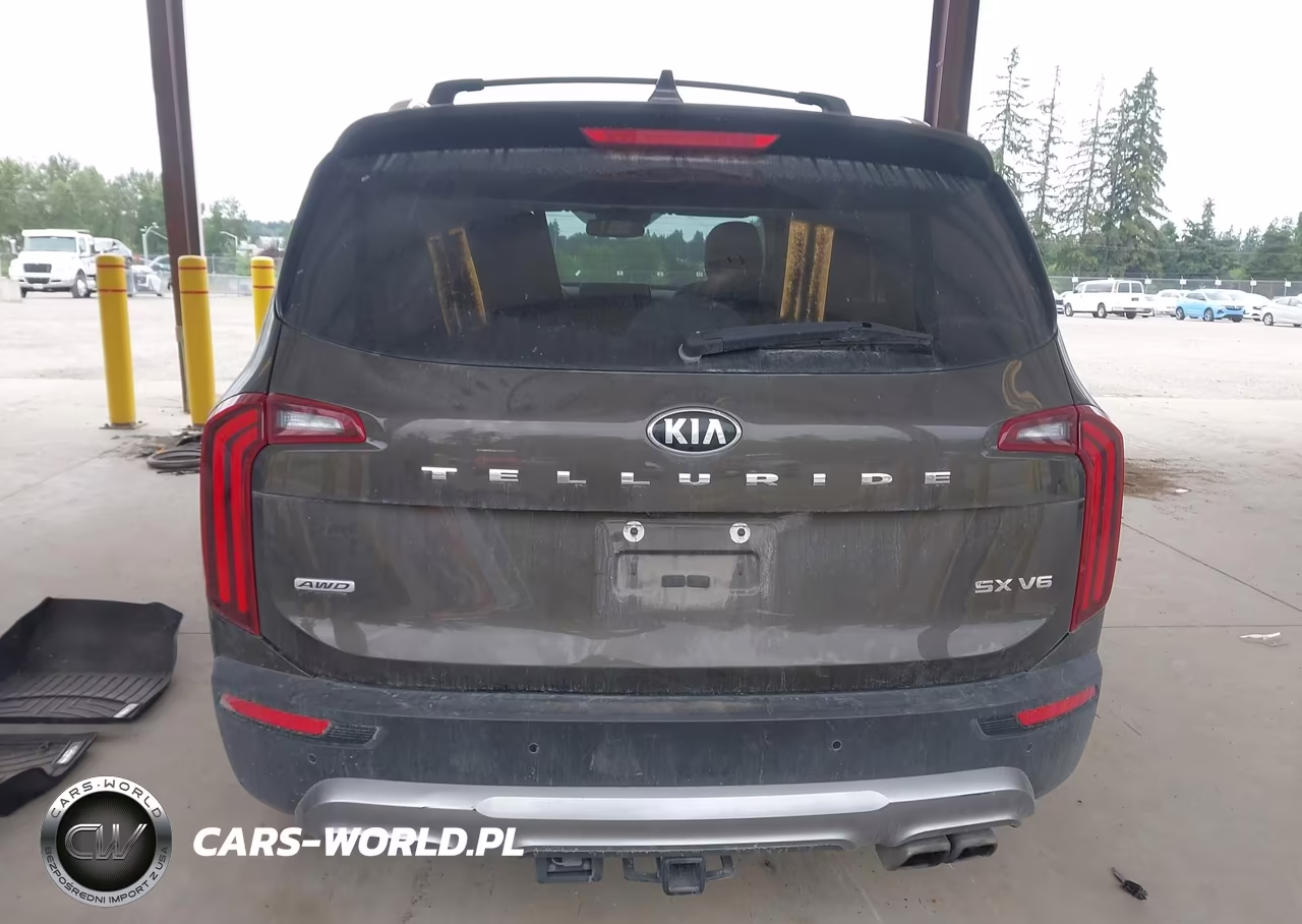 2020 Kia Telluride Sx VIN:5XYP5DHC1LG085385 - 17