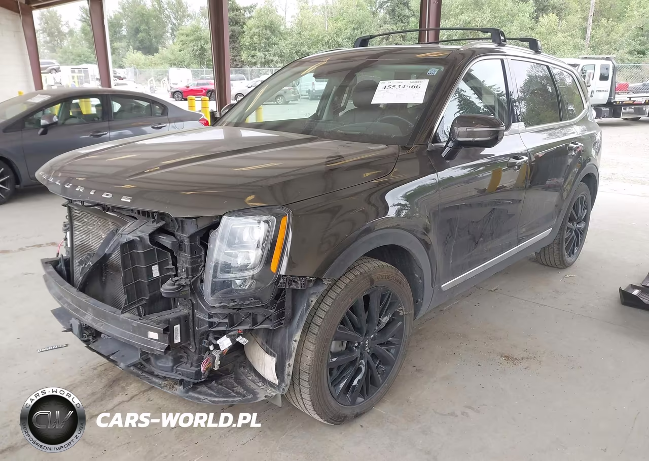 2020 Kia Telluride Sx VIN:5XYP5DHC1LG085385 - 2