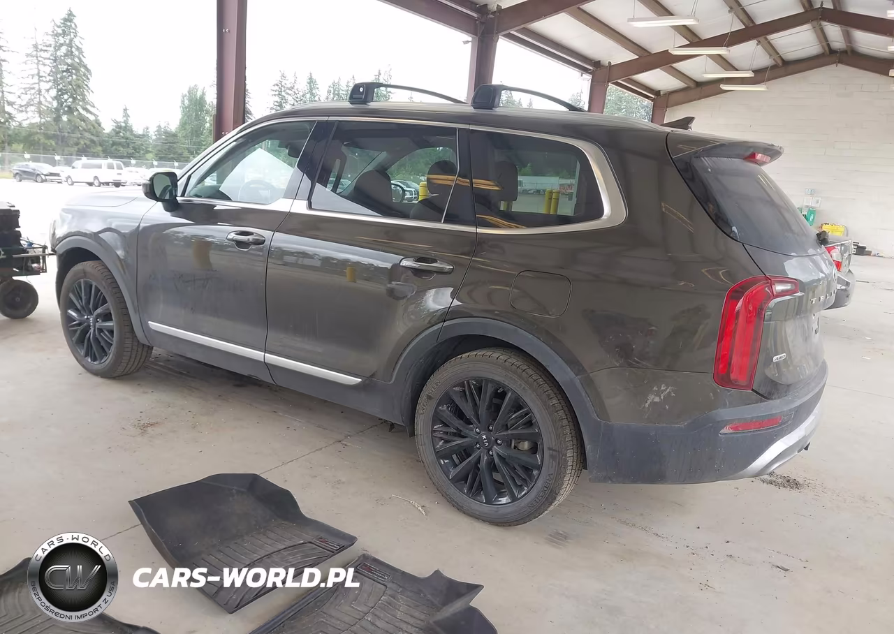 2020 Kia Telluride Sx VIN:5XYP5DHC1LG085385 - 3