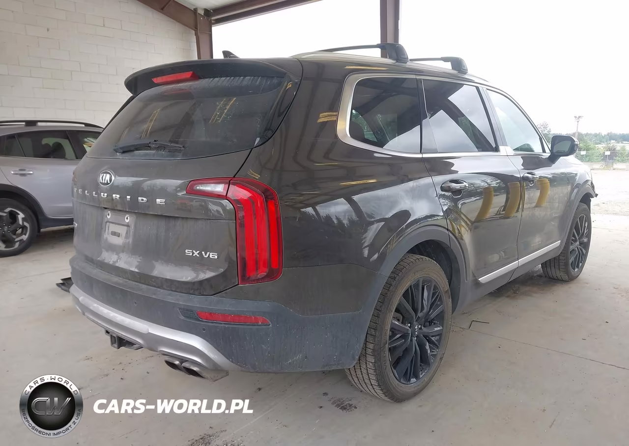 2020 Kia Telluride Sx VIN:5XYP5DHC1LG085385 - 4
