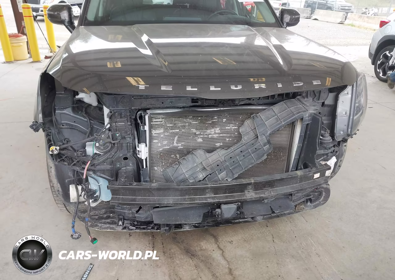 2020 Kia Telluride Sx VIN:5XYP5DHC1LG085385 - 6
