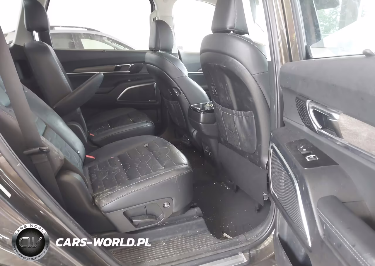 2020 Kia Telluride Sx VIN:5XYP5DHC1LG085385 - 8