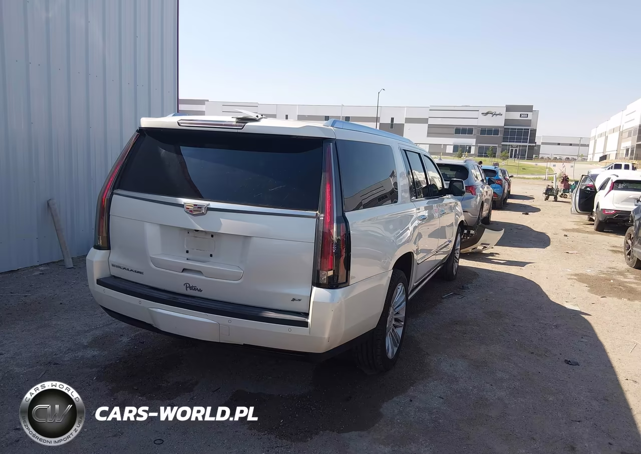2015 Cadillac Escalade Esv Platinum VIN:1GYS4UKJ2FR580005 - 4