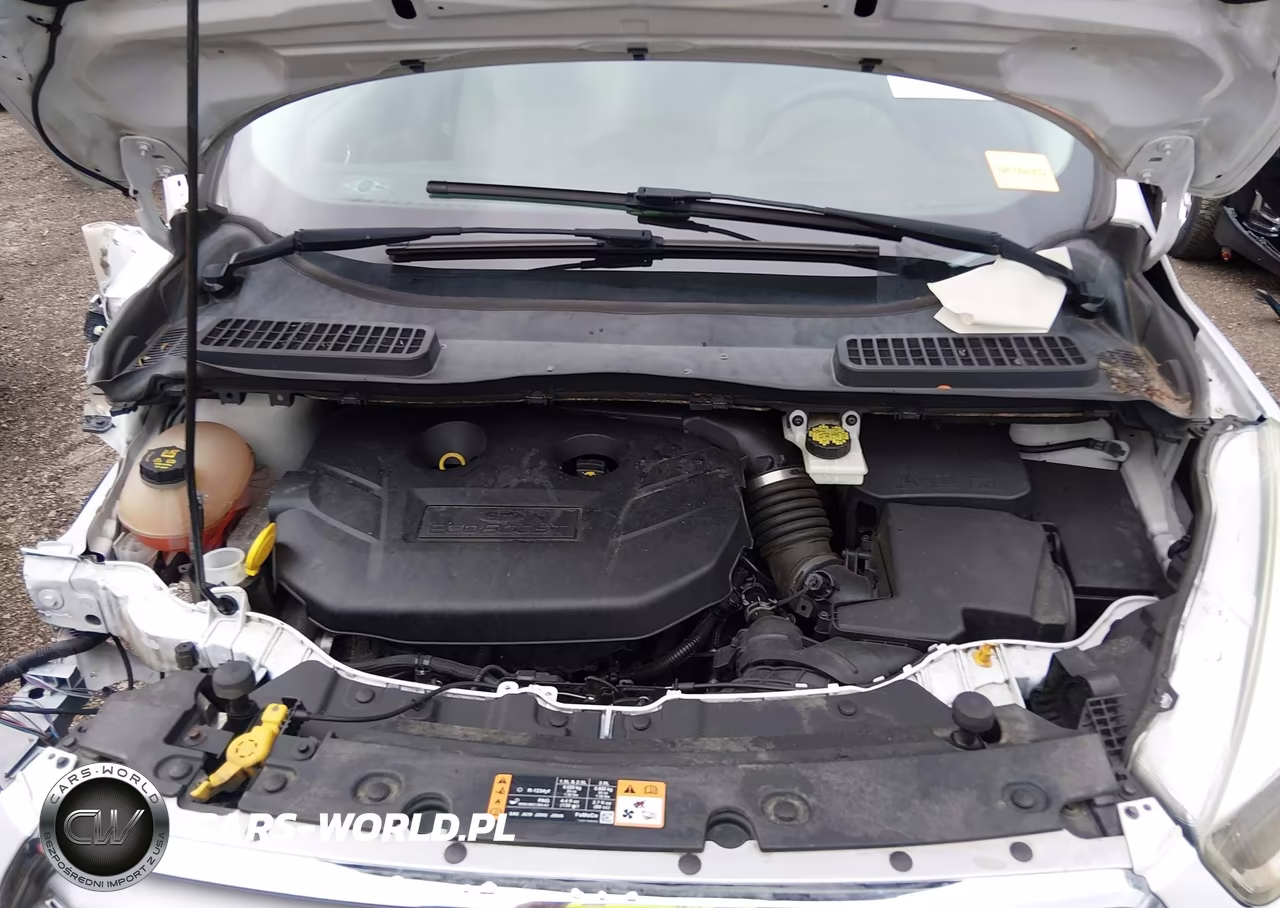 2017 Ford Escape Se VIN:1FMCU0G95HUA69661 - 10