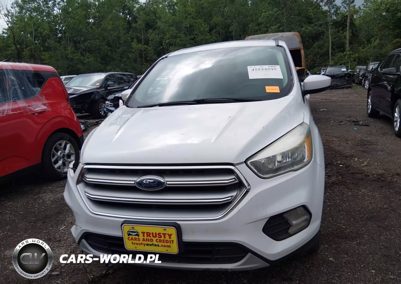 2017 Ford Escape Se VIN:1FMCU0G95HUA69661 - 13
