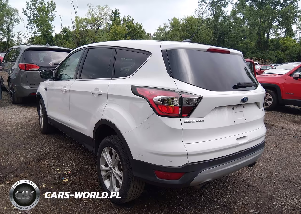 2017 Ford Escape Se VIN:1FMCU0G95HUA69661 - 3
