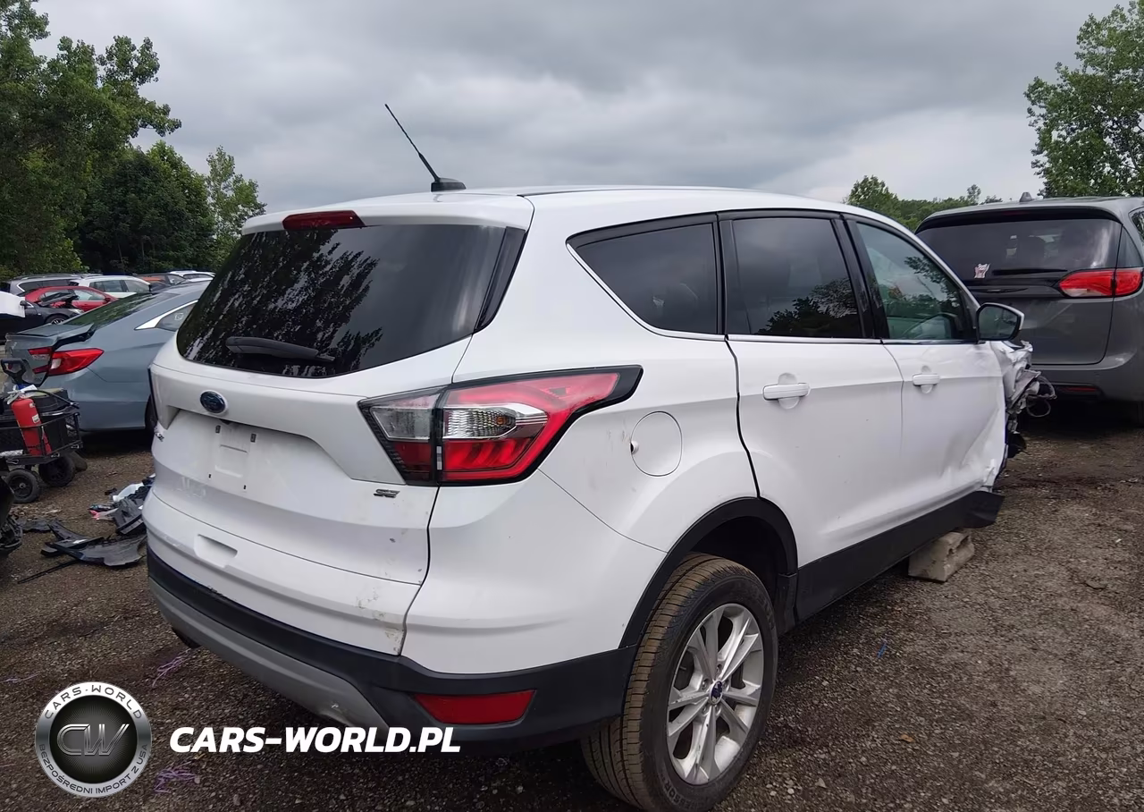 2017 Ford Escape Se VIN:1FMCU0G95HUA69661 - 4