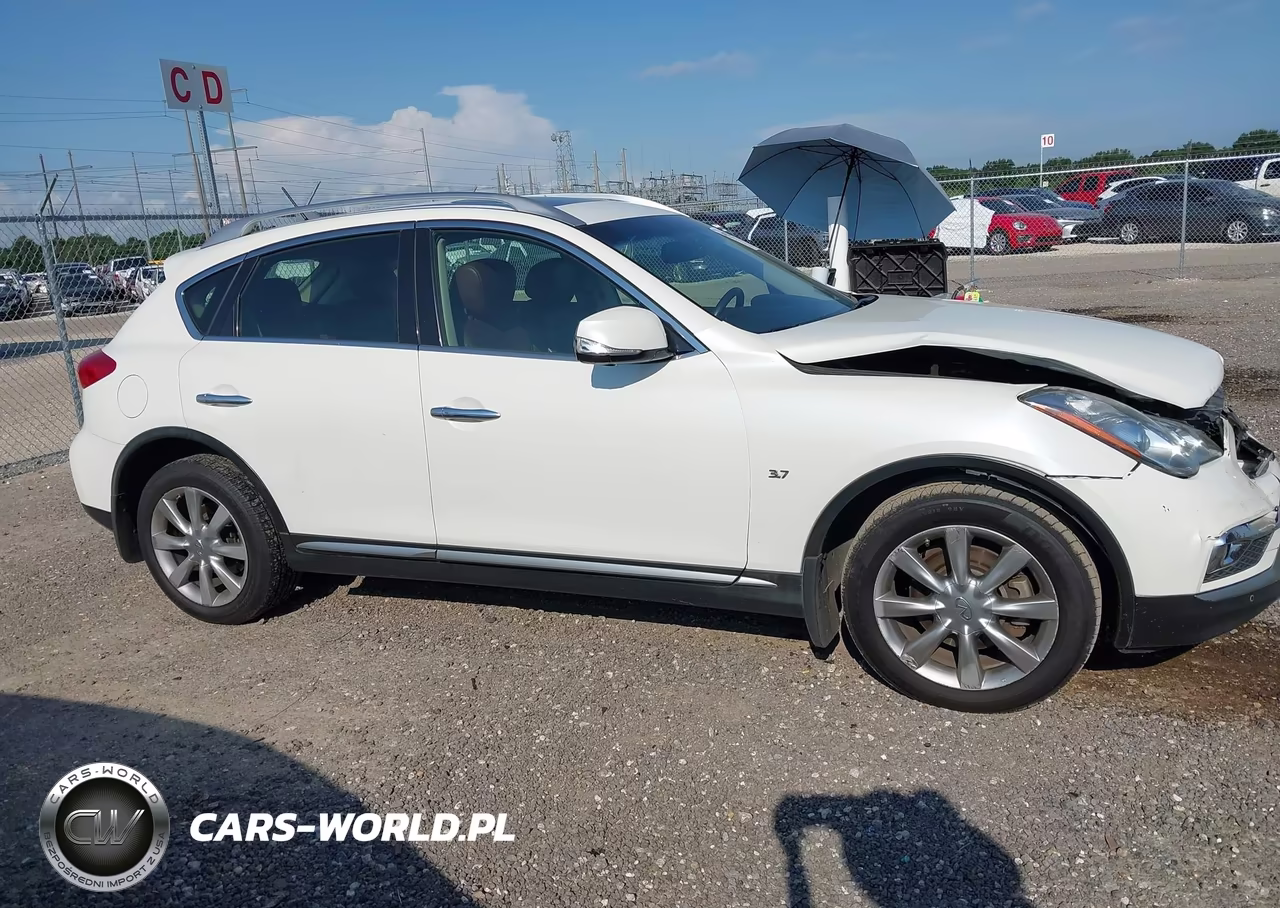 2016 Infiniti Qx50 VIN:JN1BJ0RP6GM231514 - 13