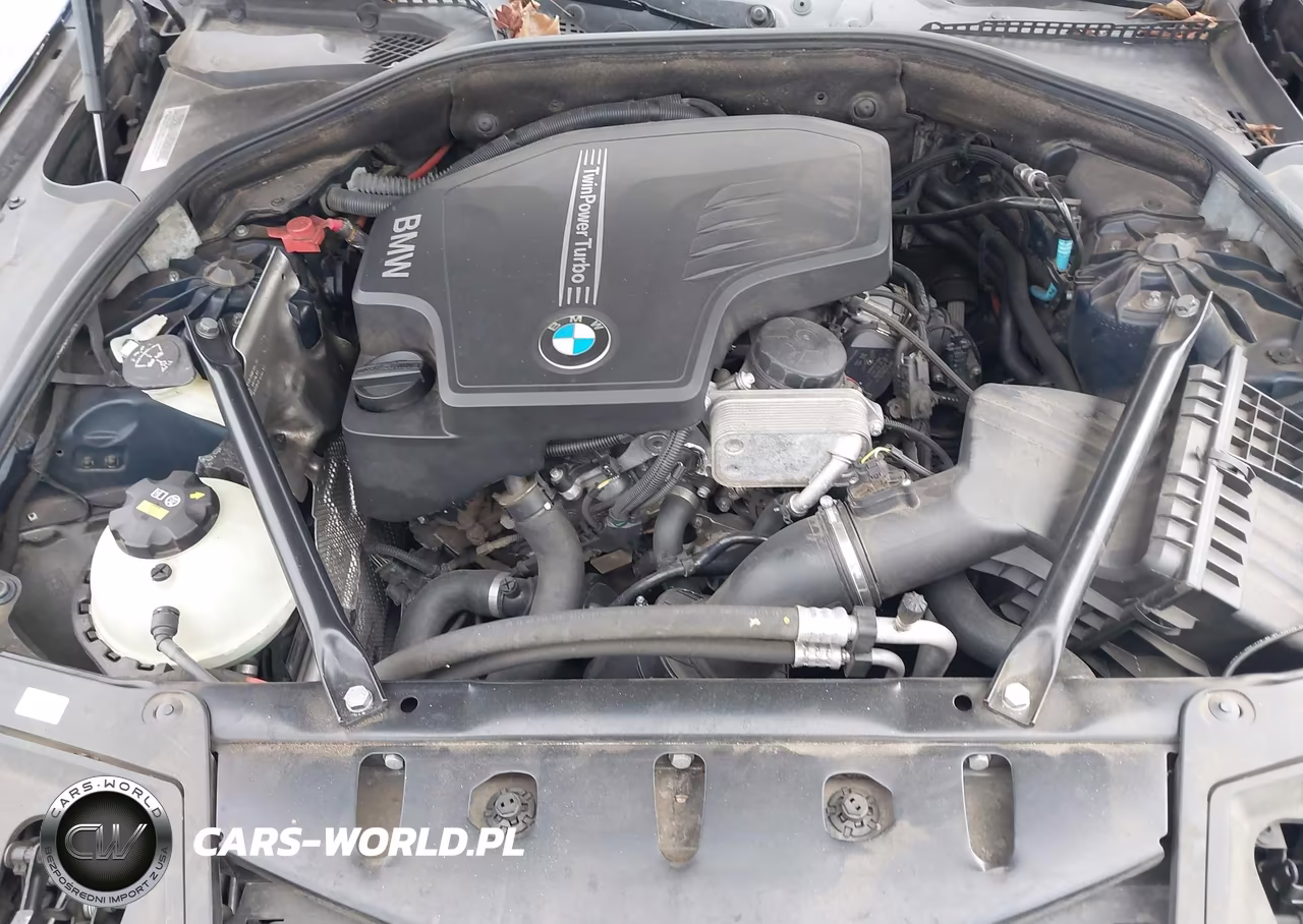 2015 BMW 528I VIN:WBA5A5C5XFD521670 - 10