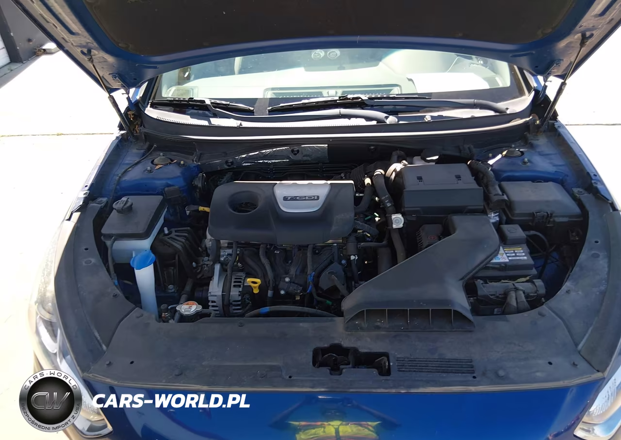 2018 Hyundai Sonata Eco VIN:5NPE24AA0JH691601 - 10