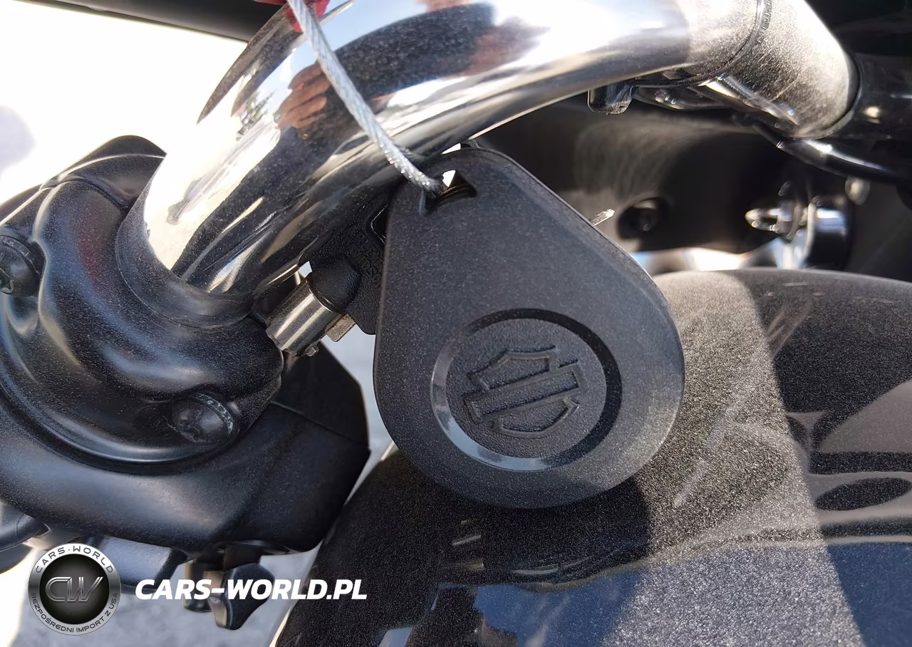 2023 Harley-Davidson Flhx VIN:1HD1KBC15PB663124 - 11