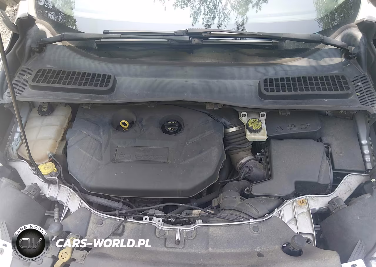 2016 Ford Escape Titanium VIN:1FMCU9J9XGUA42418 - 10
