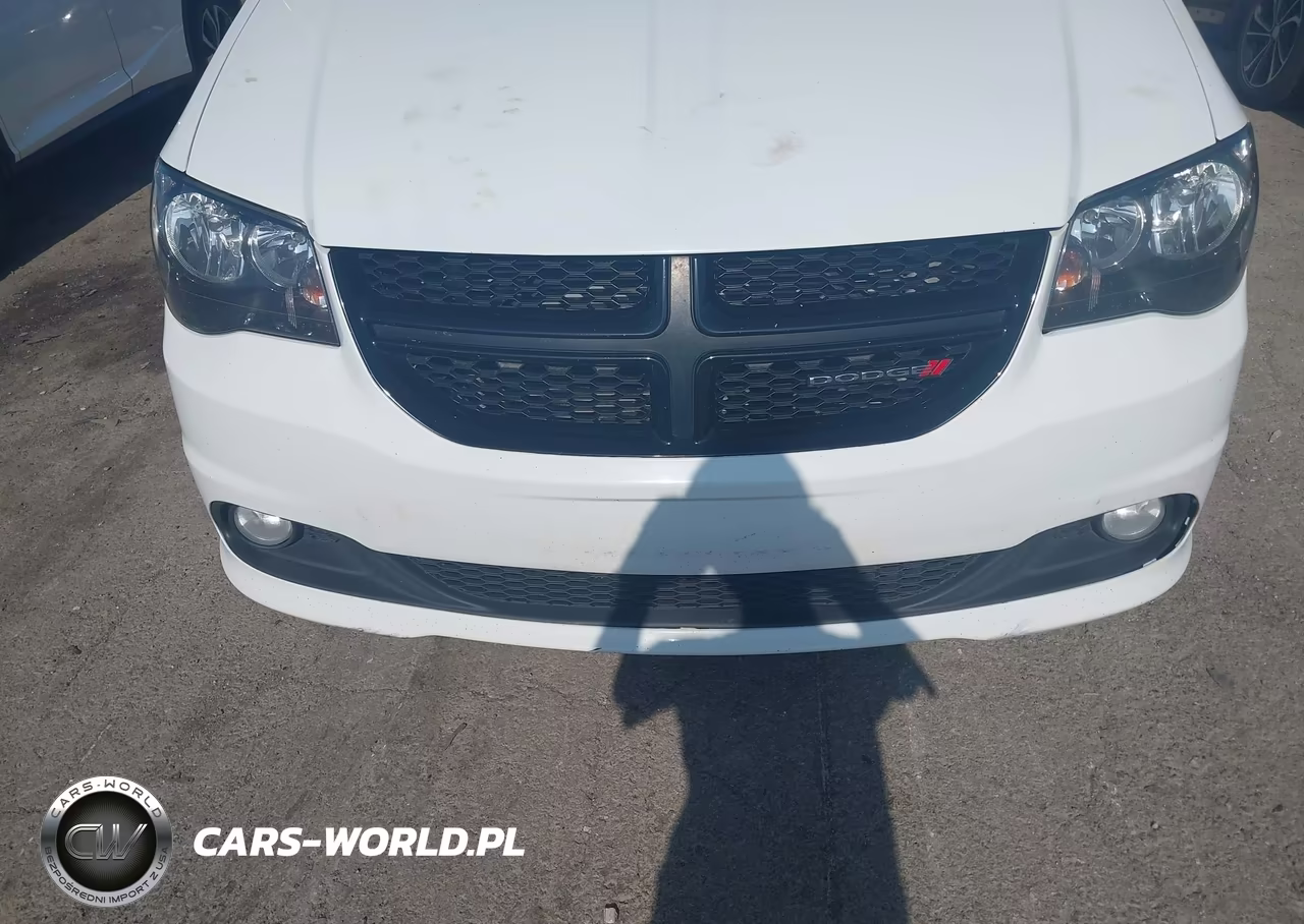 2019 Dodge Grand Caravan Sxt VIN:2C4RDGCG1KR727394 - 6