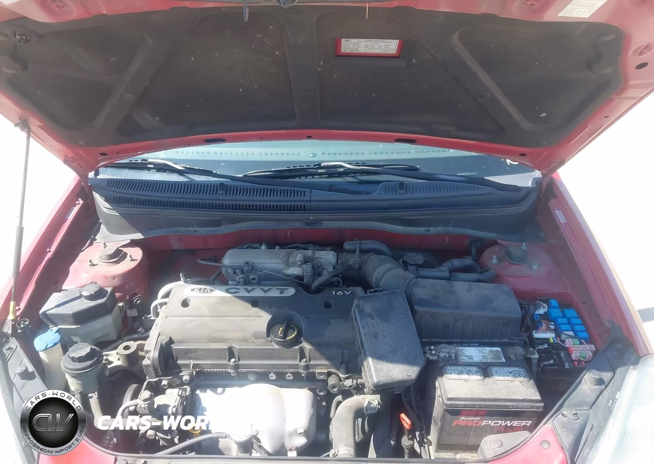 2009 Kia Rio Lx VIN:KNADE223096527128 - 10