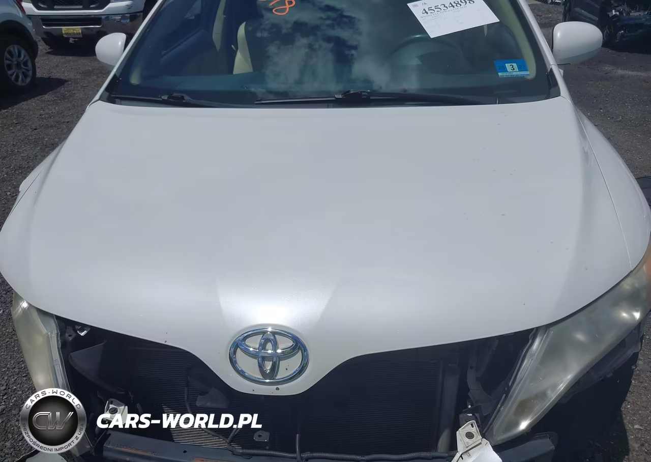 2010 Toyota Venza Base V6 VIN:4T3ZK3BB8AU023346 - 10