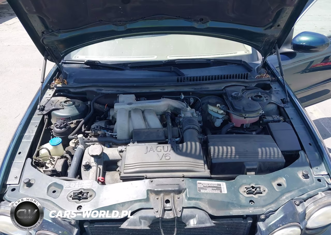 2002 Jaguar X-Type 3.0L-3.0L (A5) VIN:SAJEA51C42WC28869 - 10
