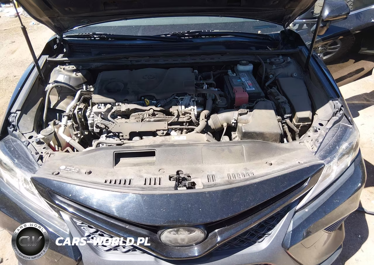 2019 Toyota Camry Se VIN:JTNB11HK1K3080665 - 10