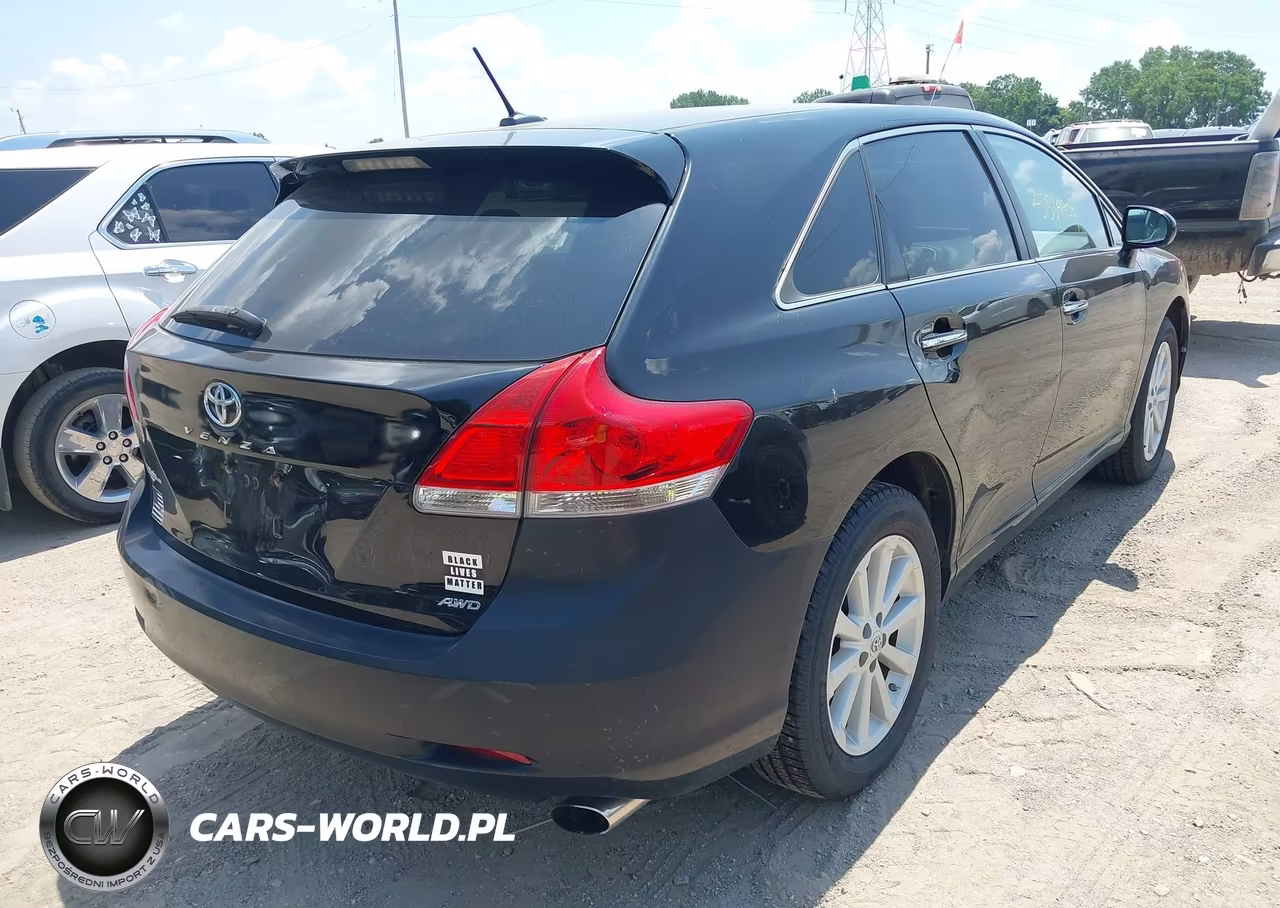 2010 Toyota Venza VIN:4T3BA3BB8AU013176 - 4