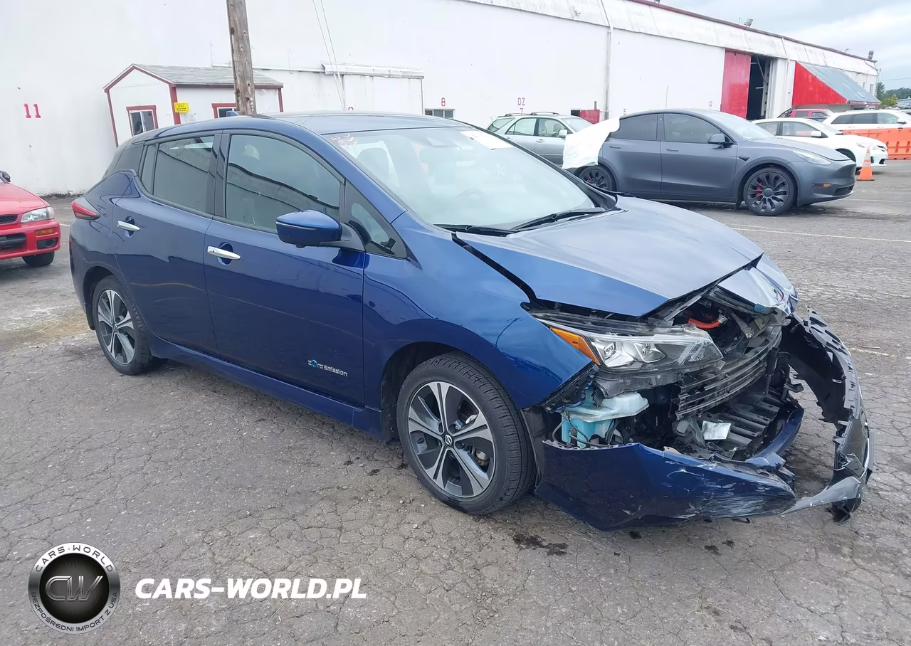2019 Nissan Leaf Sl Plus