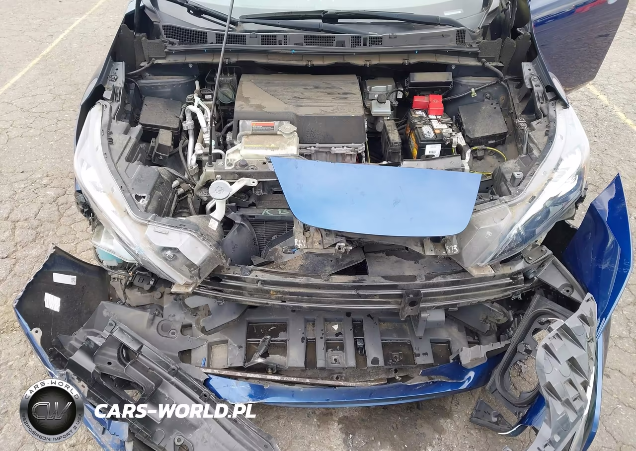 2019 Nissan Leaf Sl Plus VIN:1N4BZ1CP6KC318550 - 10