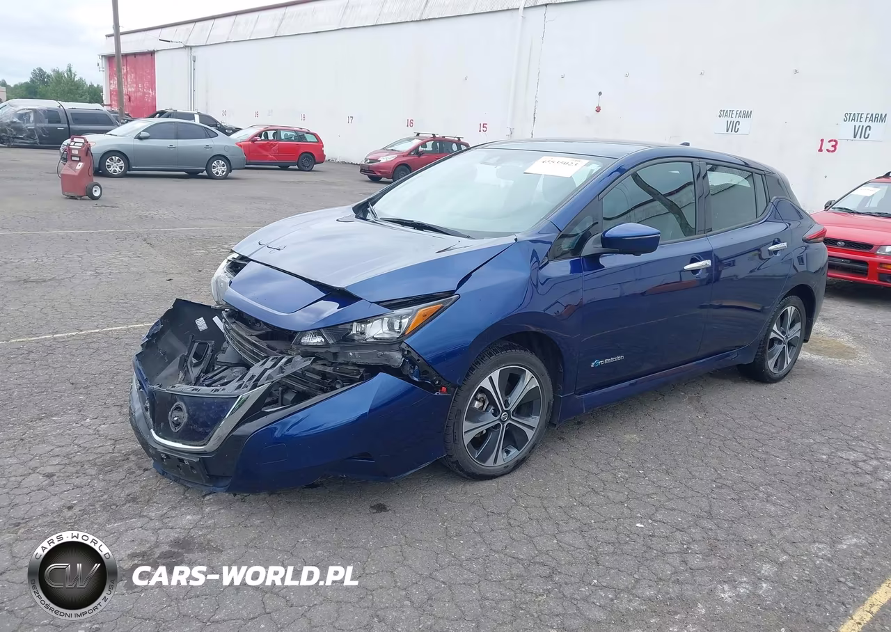 2019 Nissan Leaf Sl Plus VIN:1N4BZ1CP6KC318550 - 2
