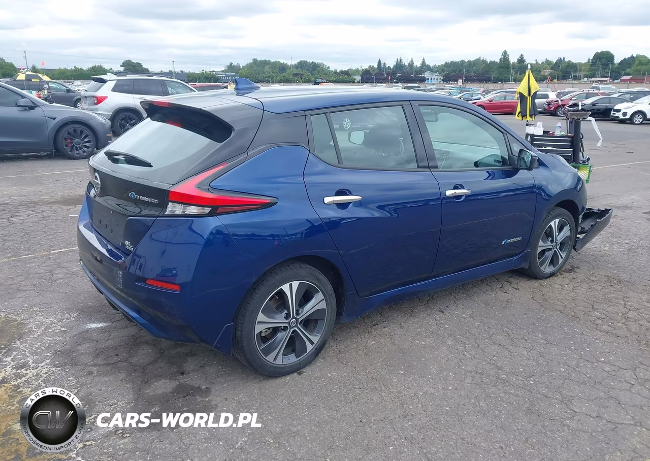2019 Nissan Leaf Sl Plus VIN:1N4BZ1CP6KC318550 - 4