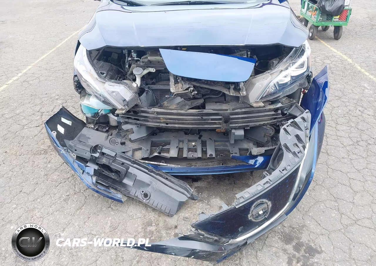 2019 Nissan Leaf Sl Plus VIN:1N4BZ1CP6KC318550 - 6