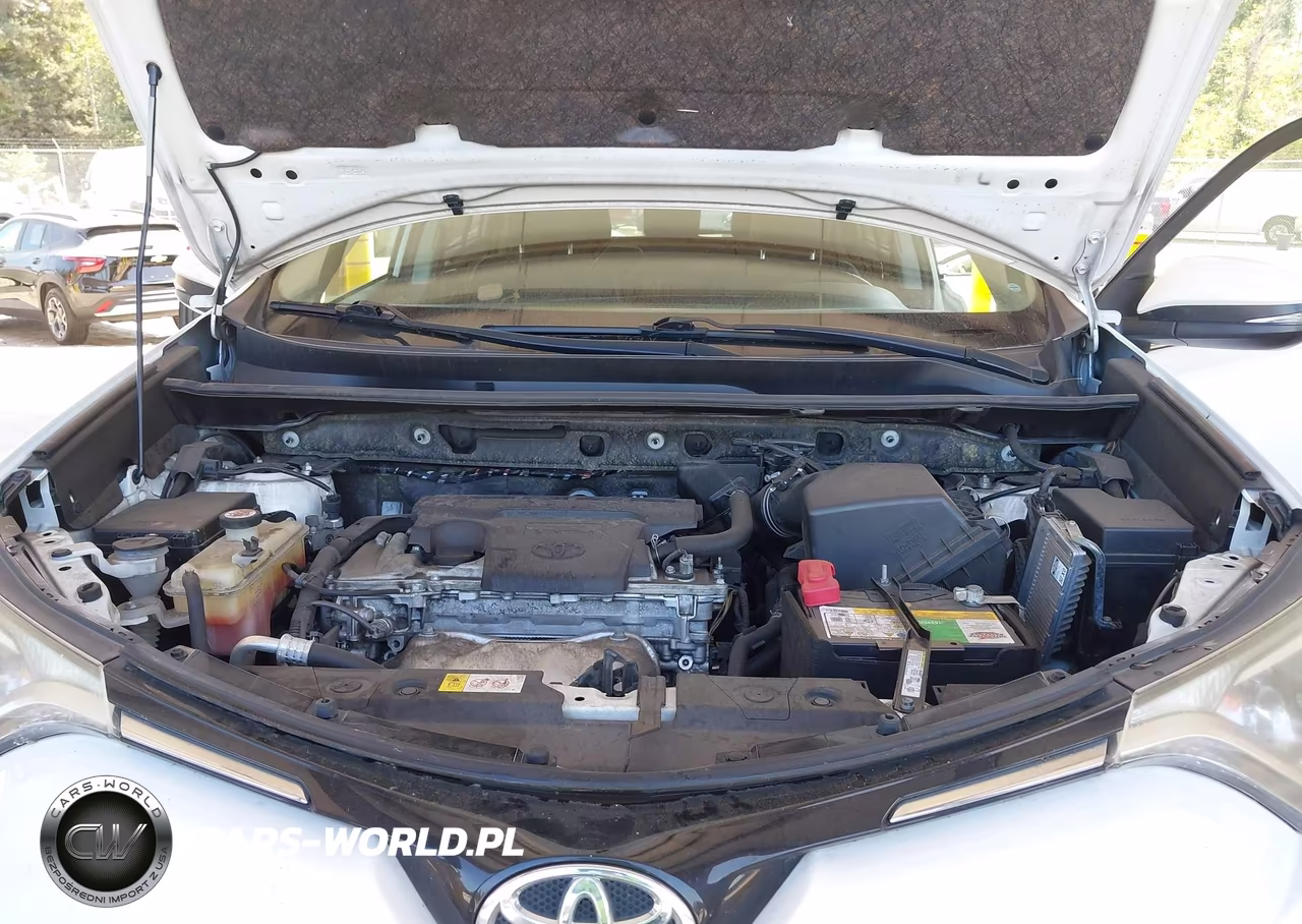 2016 Toyota Rav4 Xle VIN:JTMRFREV8GD196660 - 10
