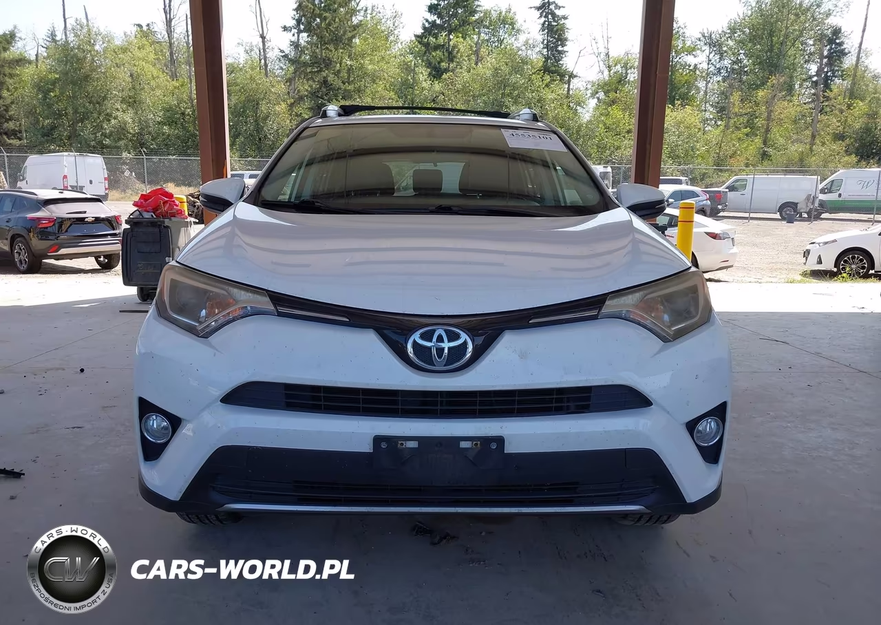 2016 Toyota Rav4 Xle VIN:JTMRFREV8GD196660 - 12