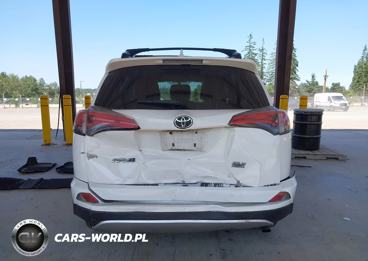 2016 Toyota Rav4 Xle VIN:JTMRFREV8GD196660 - 16