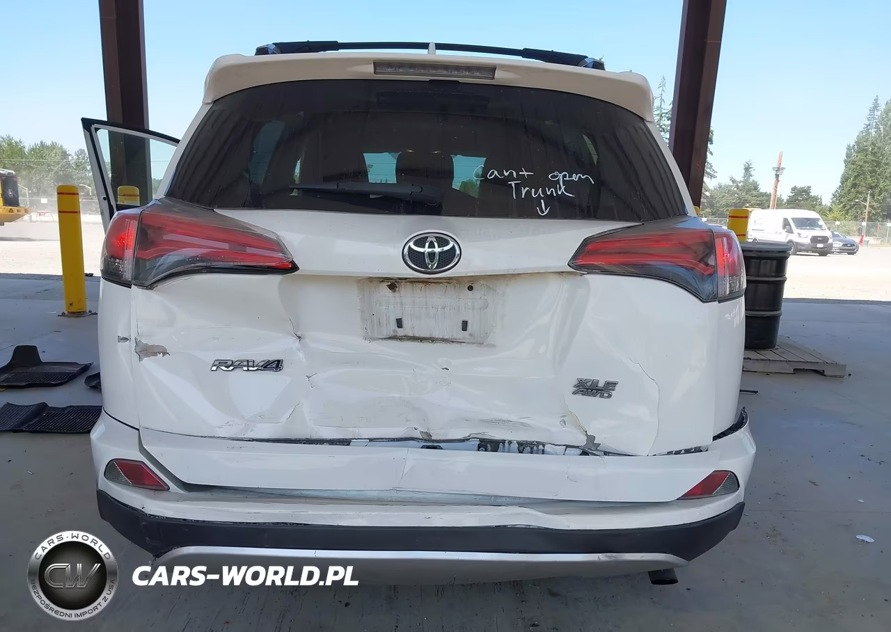 2016 Toyota Rav4 Xle VIN:JTMRFREV8GD196660 - 6
