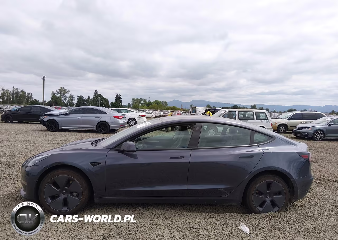 2022 Tesla Model 3 Long Range Dual Motor All-Wheel Drive VIN:5YJ3E1EB2NF174420 - 14