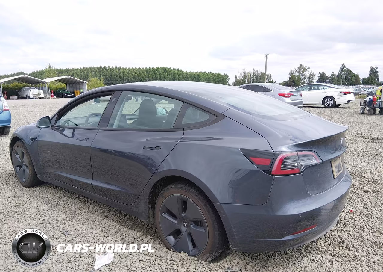2022 Tesla Model 3 Long Range Dual Motor All-Wheel Drive VIN:5YJ3E1EB2NF174420 - 3