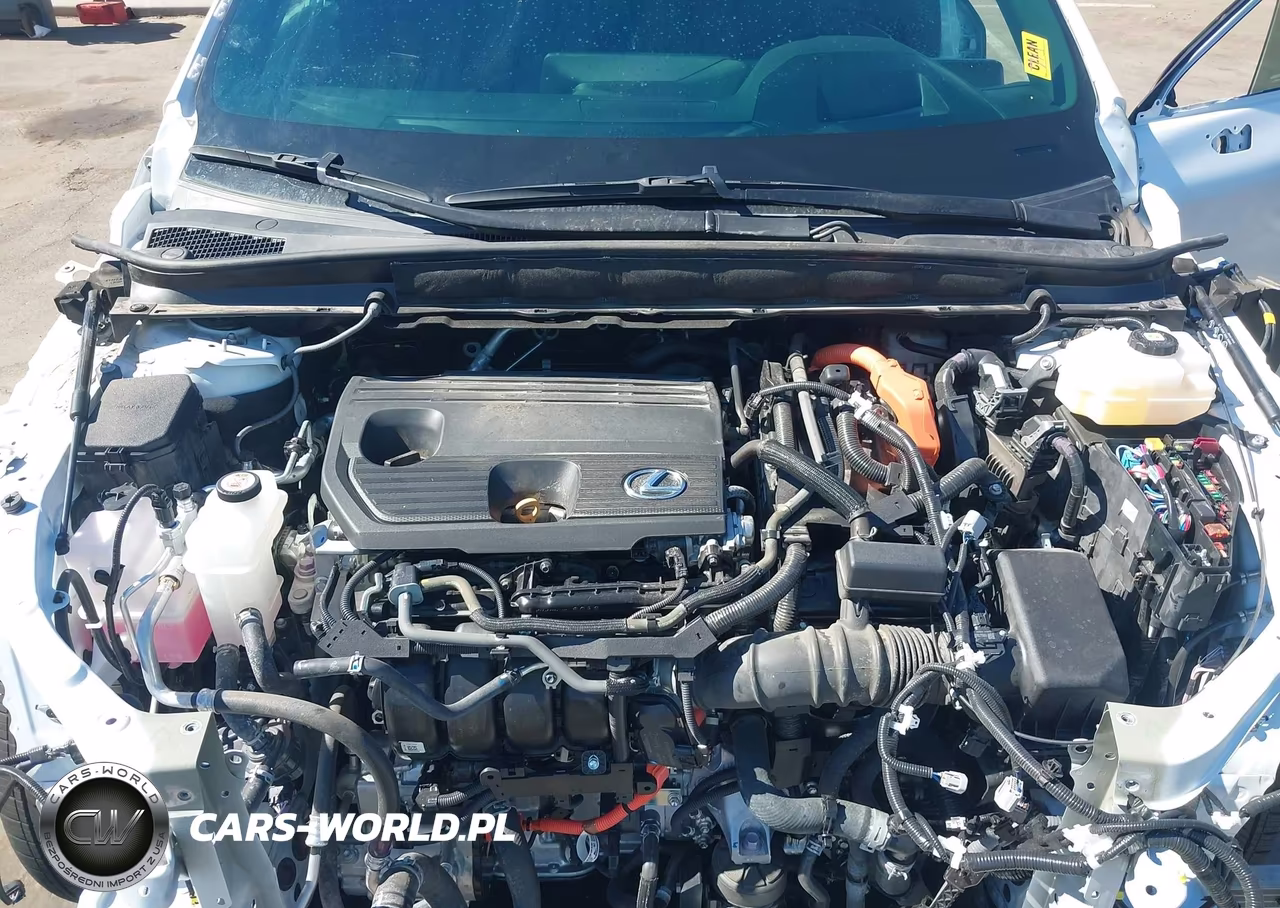 2024 Lexus Rx 350H Premium Plus VIN:2T2BBMCA5RC059865 - 10