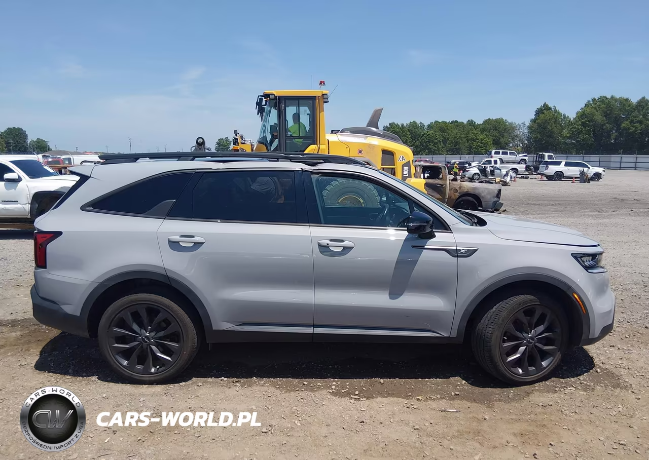 2023 Kia Sorento X-Line Ex VIN:5XYRHDLFXPG168224 - 13
