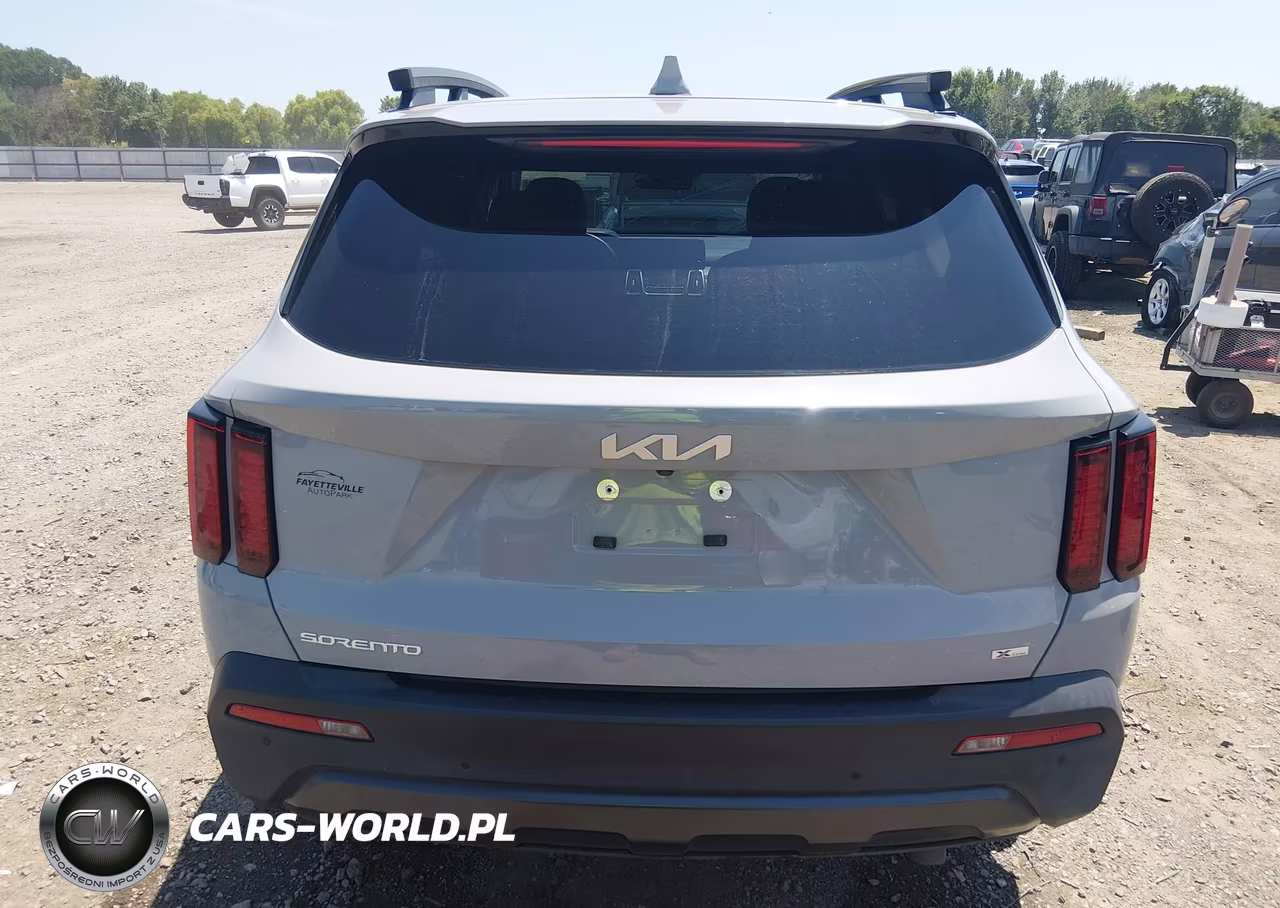 2023 Kia Sorento X-Line Ex VIN:5XYRHDLFXPG168224 - 16