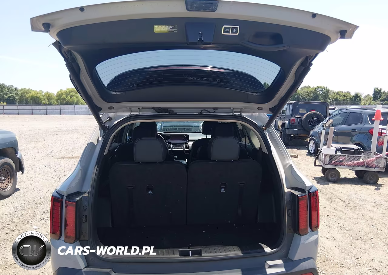 2023 Kia Sorento X-Line Ex VIN:5XYRHDLFXPG168224 - 17